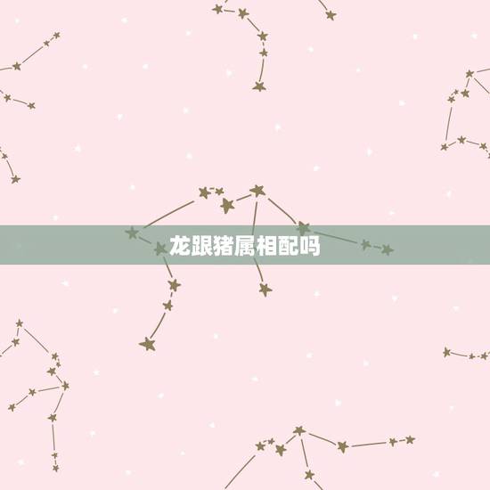 龙跟猪属相配吗，属龙的和属猪的配吗