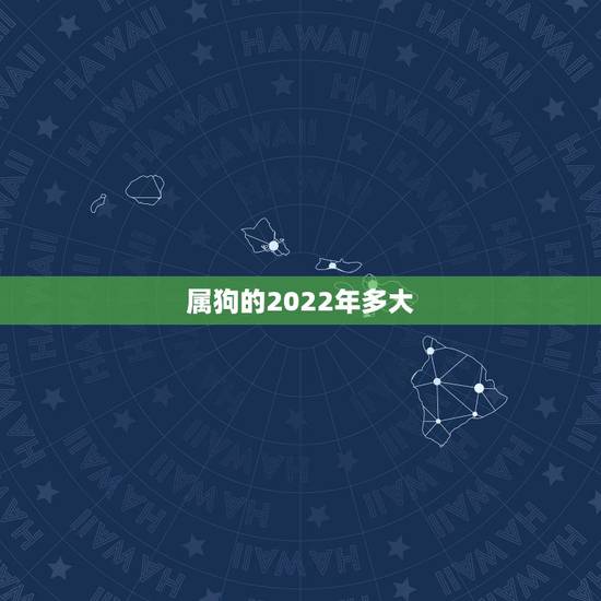 属狗的2022年多大,2022年属狗 属狗的2022年多大,2022年属狗