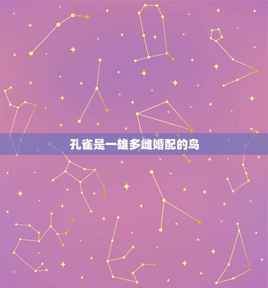孔雀是一雄多雌婚配的鸟，孔雀怎样区分公母？