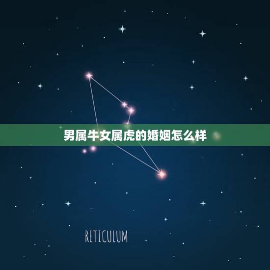 男属牛女属虎的婚姻怎么样，属牛和属虎的结婚好吗