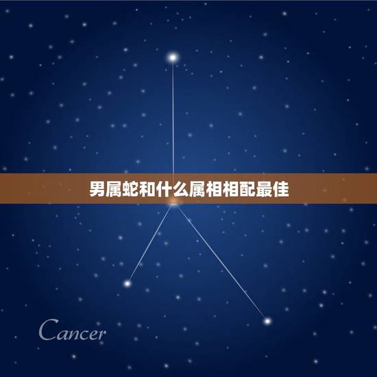男属蛇和什么属相相配最佳,属蛇的男人和什么属相最配? 男属蛇和什么属相相配最佳,属蛇的男人和什么属相最配?