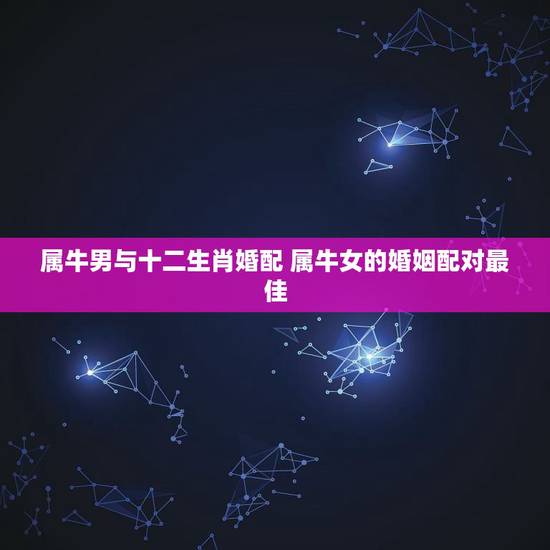 属牛男与十二生肖婚配 属牛女的婚姻配对最佳 属牛男与十二生肖婚配 属牛女的婚姻配对最佳