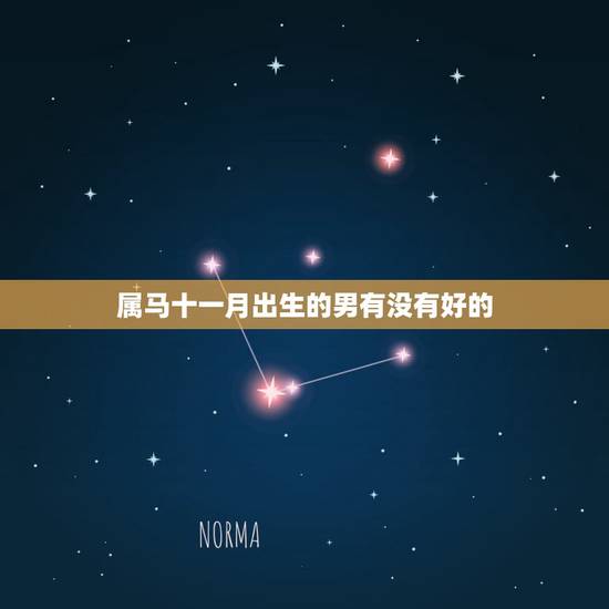 属马十一月出生的男有没有好的,90年属马的是什么命 属马十一月出生的男有没有好的,90年属马的是什么命