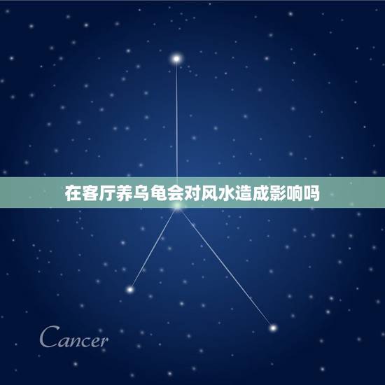 在客厅养乌龟会对风水造成影响吗，家里养乌龟会不会影响风水