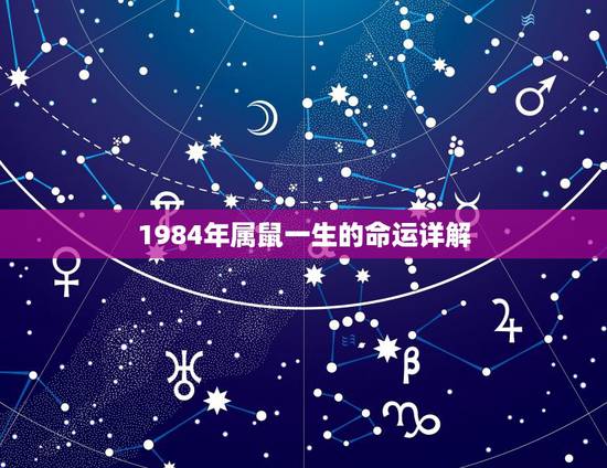 1984年属鼠一生的命运详解，1972年属鼠人一生命运