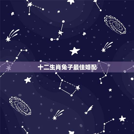 十二生肖兔子最佳婚配，属相婚配：男属兔和女属鼠相配吗