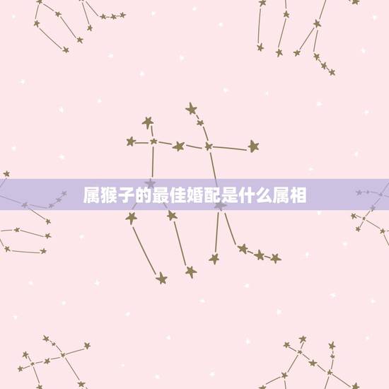 属猴子的最佳婚配是什么属相，属猴的最佳配对属相是什么