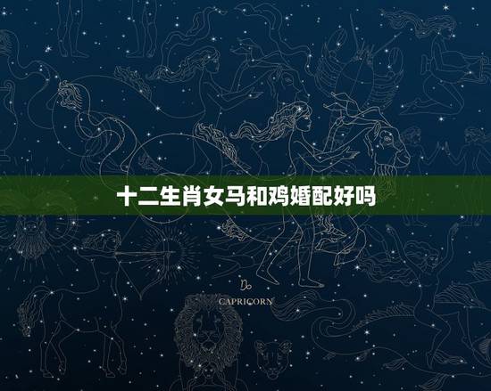 十二生肖女马和鸡婚配好吗，我的属相是鸡，女孩，请问鸡和哪个属相最相配？