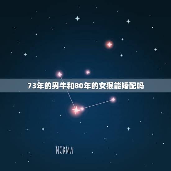 73年的男牛和80年的女猴能婚配吗，1973年男牛和1980年女猴婚姻