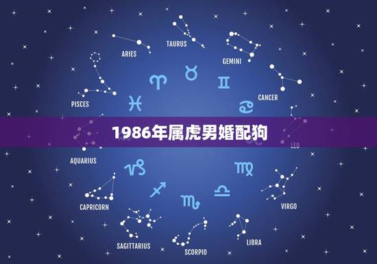 1986年属虎男婚配狗,1982年属狗的女性和1986年属虎的男性可以 1986年属虎男婚配狗,1982年属狗的女性和1986年属虎的男性可以