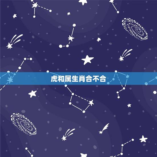 虎和属生肖合不合，老虎跟老鼠合得来吗