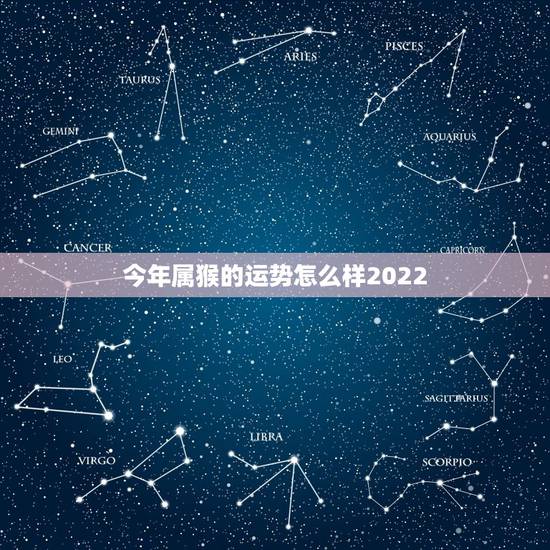 今年属猴的运势怎么样2022，1964年猴2022虎年男