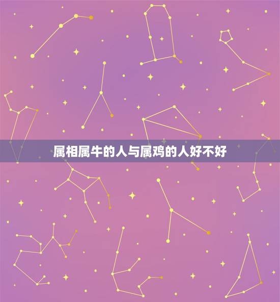 属相属牛的人与属鸡的人好不好，属牛和属鸡的合不合