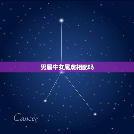 男属牛女属虎相配吗，女属虎配男属牛的好吗