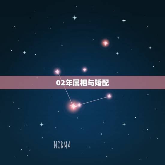 02年属相与婚配，2004年属猴跟2002年属马的适合结婚吗？