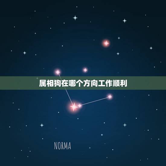 属相狗在哪个方向工作顺利，属狗的干什么工作顺利