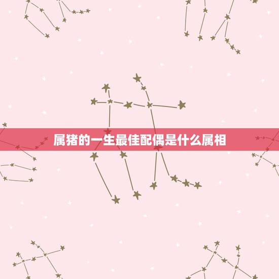 属猪的一生最佳配偶是什么属相,属猪的最好配相 属猪的一生最佳配偶是什么属相,属猪的最好配相