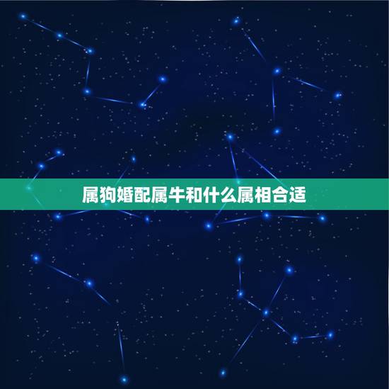 属狗婚配属牛和什么属相合适，属牛的和属狗的相配吗