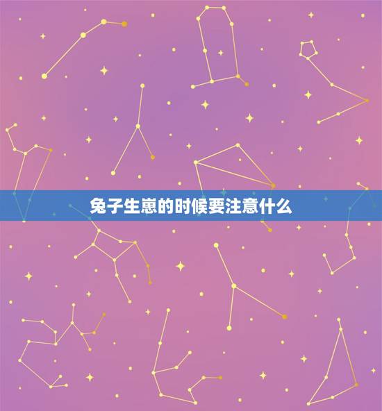 兔子生崽的时候要注意什么,母兔生小兔要注意什么 兔子生崽的时候要注意什么,母兔生小兔要注意什么