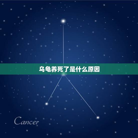 乌龟养死了是什么原因，家里养的小乌龟死了，这是怎么回事？