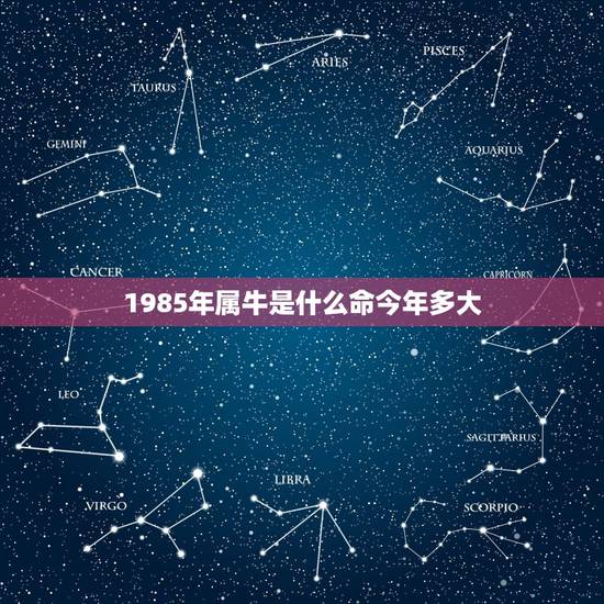 1985年属牛是什么命今年多大，73年是什么命年