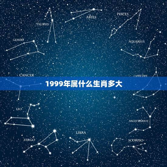 1999年属什么生肖多大，1999年属什么生肖配对