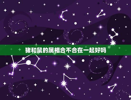 猪和鼠的属相合不合在一起好吗，十二属相相生相克鼠和猪相克吗