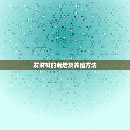 发财树的栽培及养殖方法,发财树养殖方法与技巧是什么? 发财树的栽培及养殖方法,发财树养殖方法与技巧是什么?