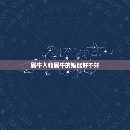 属牛人和属牛的婚配好不好，属牛和属牛的相配吗