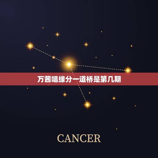 万茜唱缘分一道桥是第几期,缘分一道桥歌词 万茜唱缘分一道桥是第几期,缘分一道桥歌词