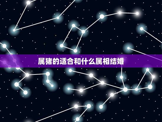 属猪的适合和什么属相结婚，婚姻属猪和属啥的最合适