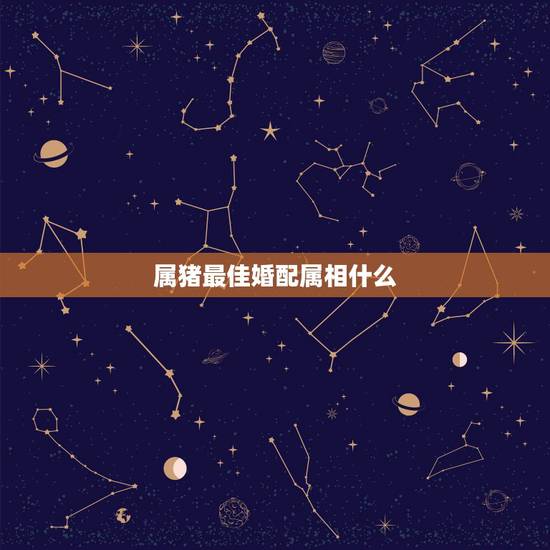 属猪最佳婚配属相什么，1971年属猪的人和什么属相相配