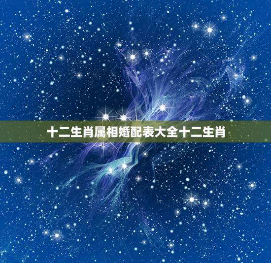 十二生肖属相婚配表大全十二生肖,最吉利最齐全十二生肖婚配表搭配的吗 十二生肖属相婚配表大全十二生肖,最吉利最齐全十二生肖婚配表搭配的吗
