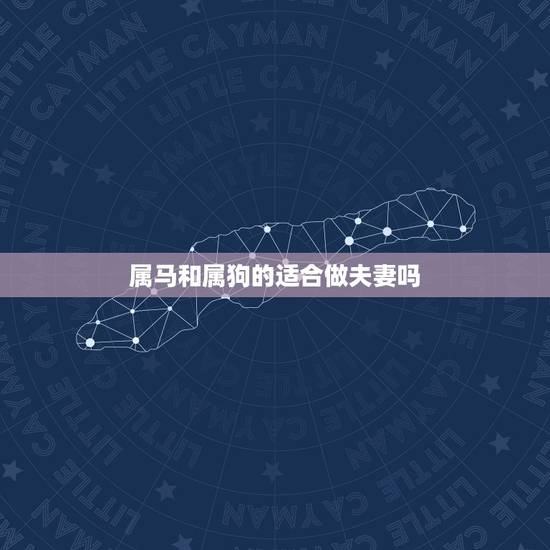 属马和属狗的适合做夫妻吗，属狗和属马的合不合婚姻