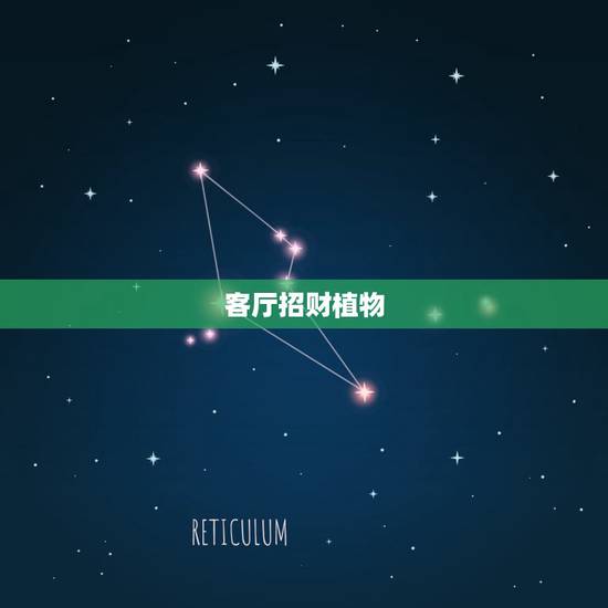 客厅招财植物,客厅应该摆放什么花招财 客厅招财植物,客厅应该摆放什么花招财