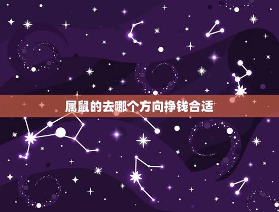 属鼠的去哪个方向挣钱合适，属鼠人2022 年每日旺财方位