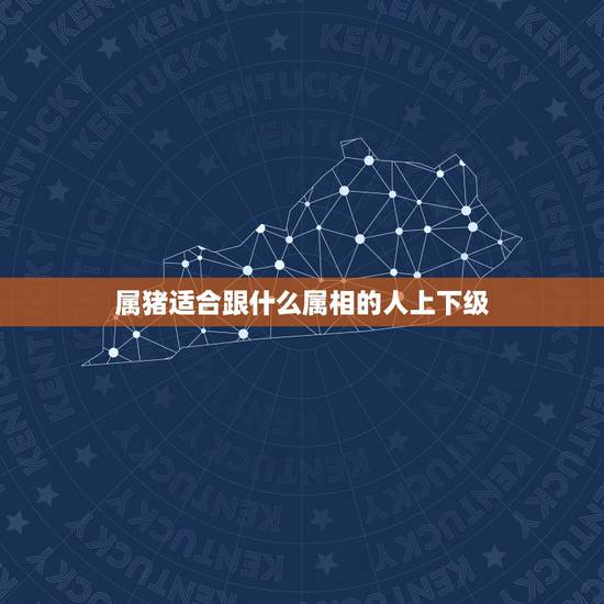 属猪适合跟什么属相的人上下级,属猪与什么属相工作最搭 属猪适合跟什么属相的人上下级,属猪与什么属相工作最搭