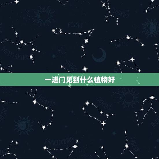 一进门见到什么植物好，大门内正对什么植物好