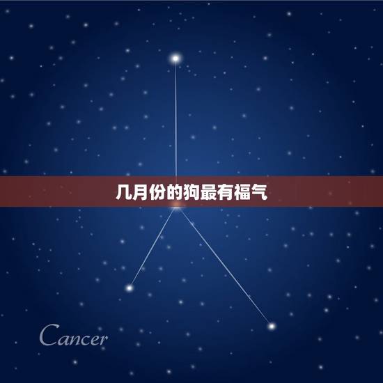 几月份的狗最有福气，属狗每个月出生详解