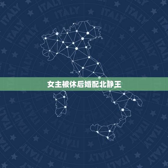 女主被休后婚配北静王，很早之前看的一部穿越小说，非女尊，女主被休后收了