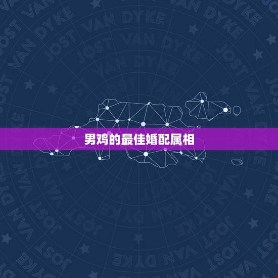 男鸡的最佳婚配属相，属鸡的男人配什么属相好