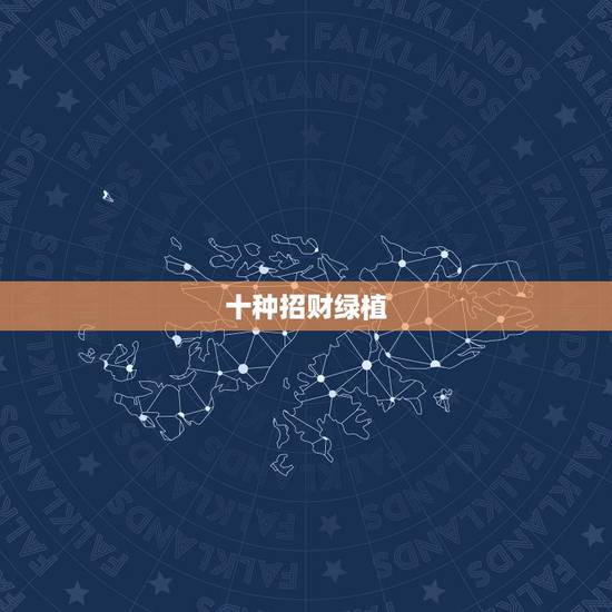 十种招财绿植,代表财运的植物有哪些 十种招财绿植,代表财运的植物有哪些