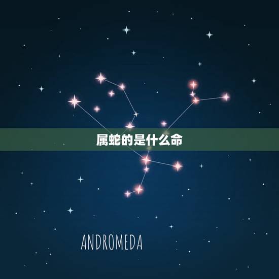 属蛇的是什么命,2013年属蛇的是什么命 属蛇的是什么命,2013年属蛇的是什么命