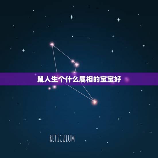 鼠人生个什么属相的宝宝好，父母都属鼠生什么属相的孩子好