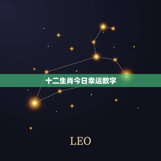 十二生肖今日幸运数字,十二生肖每日运气 十二生肖今日幸运数字,十二生肖每日运气