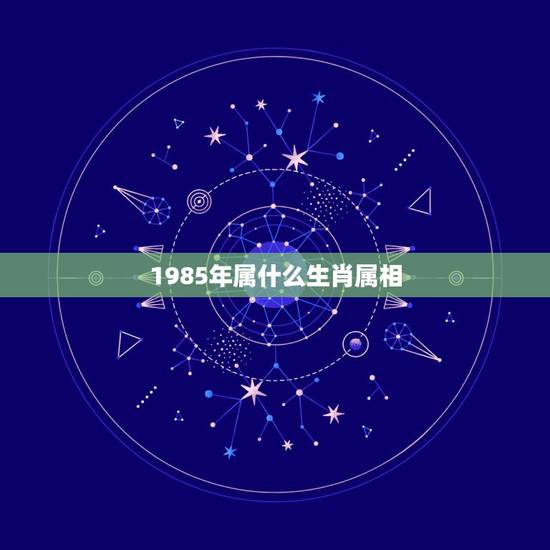 1985年属什么生肖属相,1985年属相属什么 1985年属什么生肖属相,1985年属相属什么