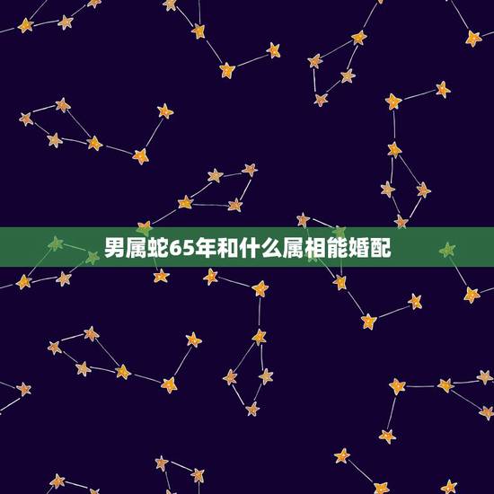 男属蛇65年和什么属相能婚配,65年男属蛇的找一个属什么的做情人还是可 男属蛇65年和什么属相能婚配,65年男属蛇的找一个属什么的做情人还是可
