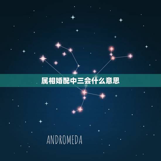 属相婚配中三会什么意思，属相婚配