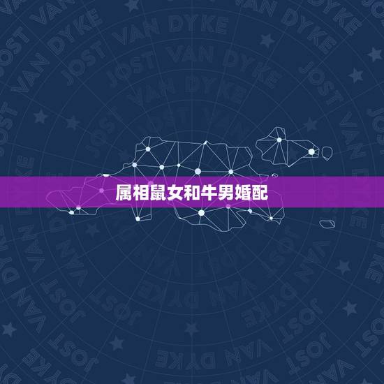 属相鼠女和牛男婚配，属鼠女和属牛男