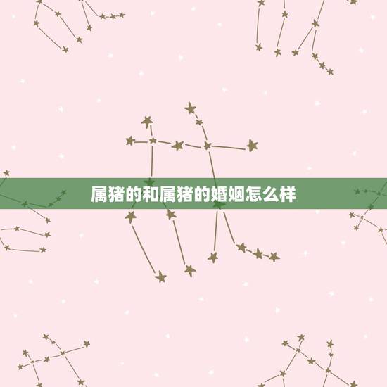 属猪的和属猪的婚姻怎么样，98年属虎男更佳婚配